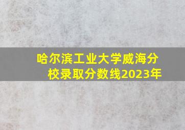 哈尔滨工业大学威海分校录取分数线2023年