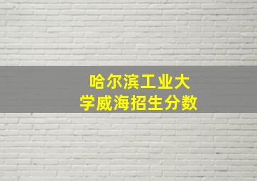 哈尔滨工业大学威海招生分数