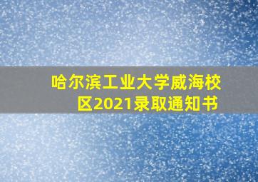 哈尔滨工业大学威海校区2021录取通知书