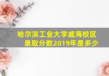 哈尔滨工业大学威海校区录取分数2019年是多少