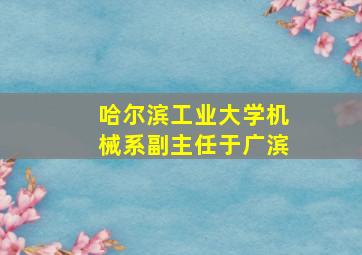 哈尔滨工业大学机械系副主任于广滨