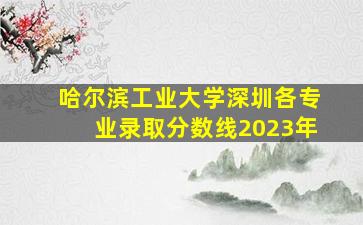 哈尔滨工业大学深圳各专业录取分数线2023年