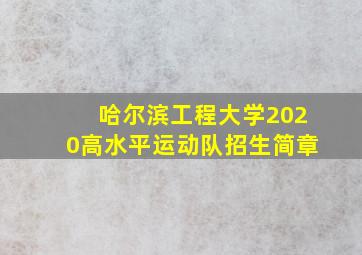 哈尔滨工程大学2020高水平运动队招生简章