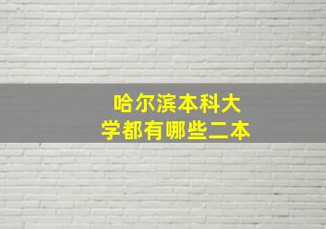 哈尔滨本科大学都有哪些二本