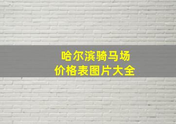 哈尔滨骑马场价格表图片大全