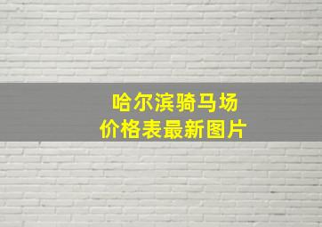 哈尔滨骑马场价格表最新图片