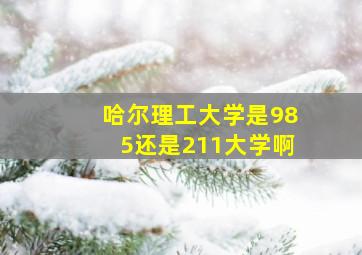 哈尔理工大学是985还是211大学啊