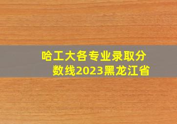 哈工大各专业录取分数线2023黑龙江省