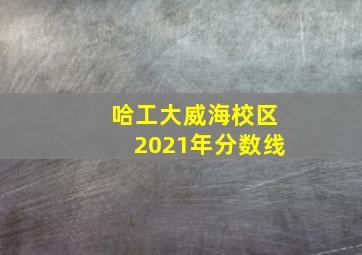 哈工大威海校区2021年分数线