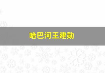 哈巴河王建勋