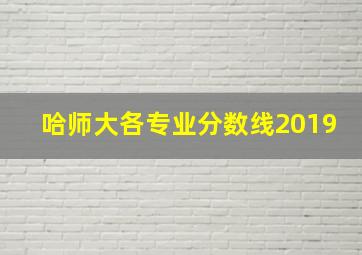 哈师大各专业分数线2019