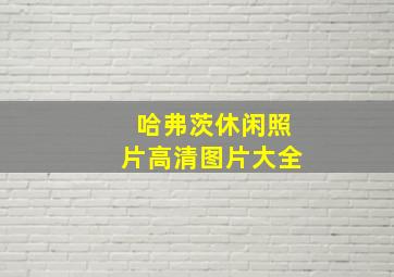 哈弗茨休闲照片高清图片大全