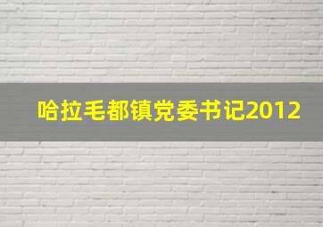 哈拉毛都镇党委书记2012