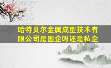 哈特贝尔金属成型技术有限公司是国企吗还是私企