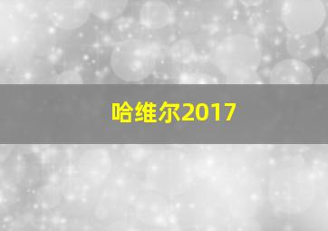 哈维尔2017