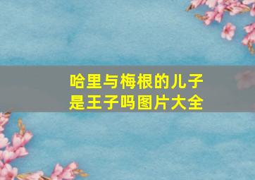 哈里与梅根的儿子是王子吗图片大全