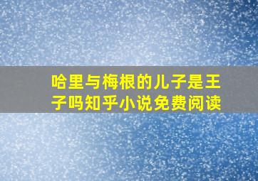 哈里与梅根的儿子是王子吗知乎小说免费阅读