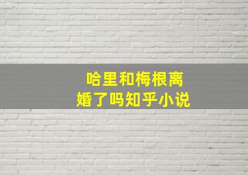 哈里和梅根离婚了吗知乎小说