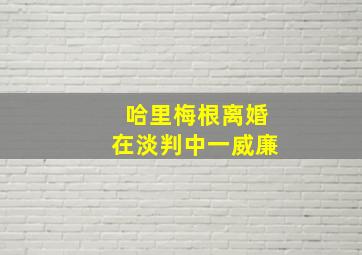 哈里梅根离婚在淡判中一威廉