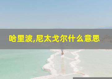 哈里波,尼太戈尔什么意思