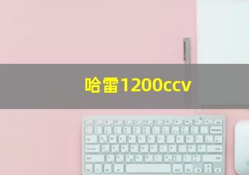 哈雷1200ccv