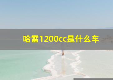 哈雷1200cc是什么车