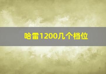 哈雷1200几个档位