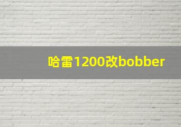 哈雷1200改bobber