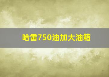 哈雷750油加大油箱