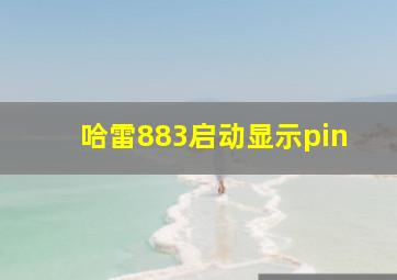 哈雷883启动显示pin