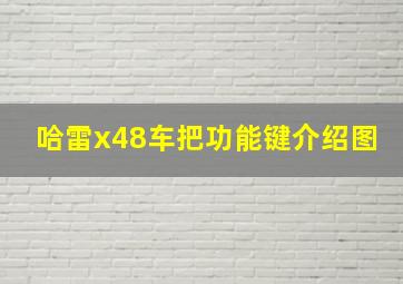 哈雷x48车把功能键介绍图