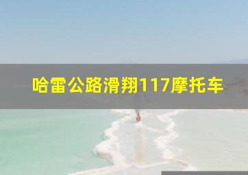 哈雷公路滑翔117摩托车