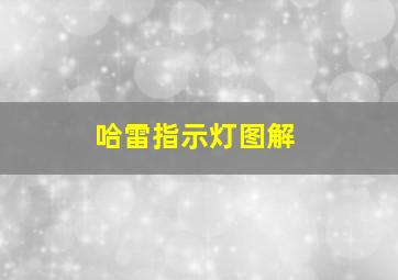 哈雷指示灯图解