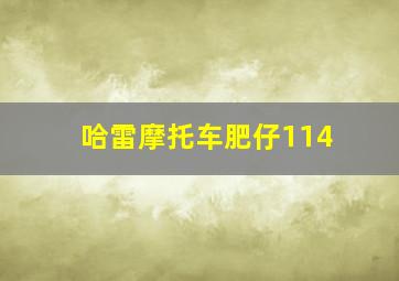 哈雷摩托车肥仔114