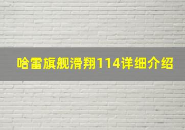 哈雷旗舰滑翔114详细介绍