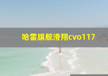 哈雷旗舰滑翔cvo117