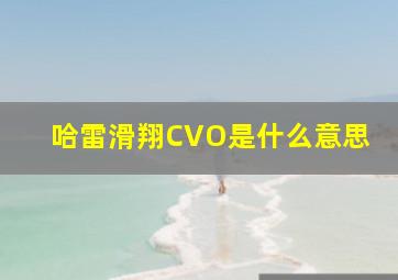 哈雷滑翔CVO是什么意思