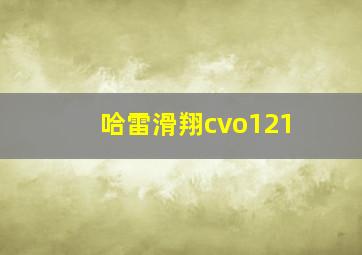 哈雷滑翔cvo121