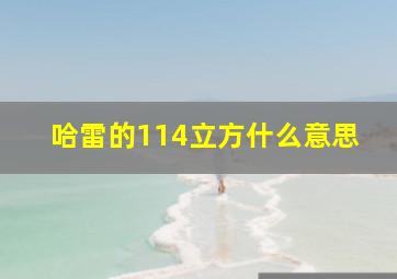 哈雷的114立方什么意思