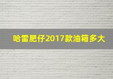 哈雷肥仔2017款油箱多大