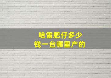 哈雷肥仔多少钱一台哪里产的