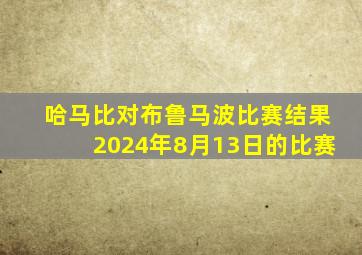 哈马比对布鲁马波比赛结果2024年8月13日的比赛