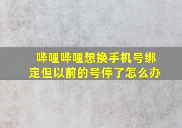 哔哩哔哩想换手机号绑定但以前的号停了怎么办