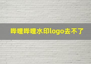 哔哩哔哩水印logo去不了