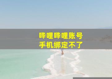 哔哩哔哩账号手机绑定不了