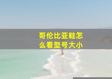 哥伦比亚鞋怎么看型号大小