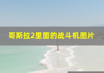 哥斯拉2里面的战斗机图片