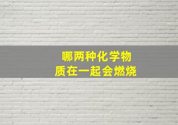 哪两种化学物质在一起会燃烧