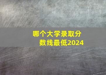 哪个大学录取分数线最低2024