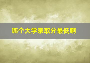 哪个大学录取分最低啊